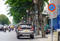 Trường hợp được bảo hiểm đền bù khi ô tô bị cây đè do bão