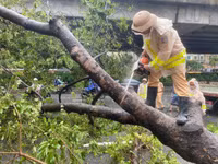 Những hình ảnh đẹp về Công an Hà Nội tập trung hỗ trợ nhân dân khắc phục cơn bão số 3