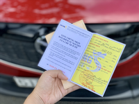 Trường hợp được bảo hiểm đền bù khi ô tô bị cây đè do bão