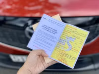 Trường hợp được bảo hiểm đền bù khi ô tô bị cây đè do bão