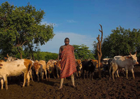 Nơi đàn ông bụng càng phệ càng đẹp