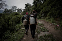 Cận cảnh nghề săn mật ong rừng ở Nepal