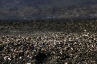 Ngôi làng ‘mất tích’ gần 45 năm đột nhiên xuất hiện tại Hy Lạp