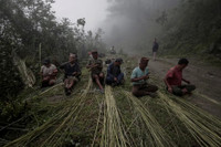 Cận cảnh nghề săn mật ong rừng ở Nepal