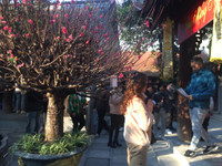 Giới trẻ Hà thành đến chùa Hà cầu duyên đầu năm mới