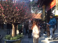 Giới trẻ Hà thành đến chùa Hà cầu duyên đầu năm mới