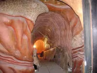 Corpus- bảo tàng đầu tiên trên thế giới khám phá cơ thể người