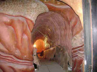 Corpus- bảo tàng đầu tiên trên thế giới khám phá cơ thể người