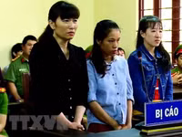 Những bảo mẫu vướng vòng lao lý vì bạo hành trẻ