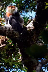 Vẻ đẹp hùng vĩ của khu dự trữ sinh quyển Việt Nam mới được UNESCO công nhận