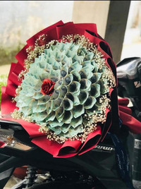 Những bó hoa, món quà 