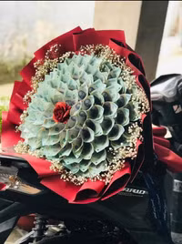 Những bó hoa, món quà 