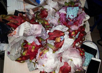 [ẢNH] Lật tẩy những cách giấu ma túy của tội phạm trên thế giới