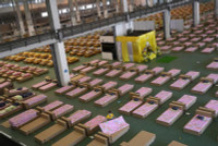 [ẢNH] Số ca mắc Covid-19 tăng cao, Thái Lan biến sân bay thành bệnh viện dã chiến