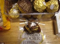 [ẢNH] Lật tẩy những cách giấu ma túy của tội phạm trên thế giới