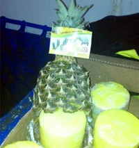 [ẢNH] Lật tẩy những cách giấu ma túy của tội phạm trên thế giới