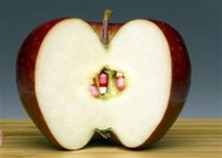 [ẢNH] Lật tẩy những cách giấu ma túy của tội phạm trên thế giới