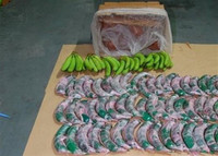 [ẢNH] Lật tẩy những cách giấu ma túy của tội phạm trên thế giới