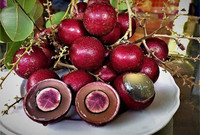 Nhãn tím giá cao gấp 5 lần nhãn thường vẫn không có để mua