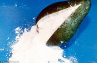 [ẢNH] Lật tẩy những cách giấu ma túy của tội phạm trên thế giới