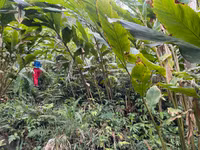 Hành trình chinh phục Nam Kang Ho Tao - một trong những cung leo núi khó nhất Việt Nam