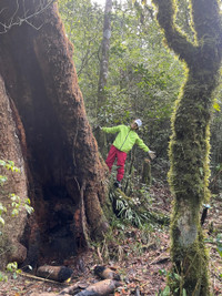 Hành trình chinh phục Nam Kang Ho Tao - một trong những cung leo núi khó nhất Việt Nam