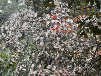 Hành trình chinh phục Nam Kang Ho Tao - một trong những cung leo núi khó nhất Việt Nam