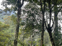 Hành trình chinh phục Nam Kang Ho Tao - một trong những cung leo núi khó nhất Việt Nam