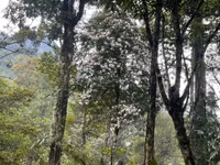 Hành trình chinh phục Nam Kang Ho Tao - một trong những cung leo núi khó nhất Việt Nam