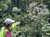 Hành trình chinh phục Nam Kang Ho Tao - một trong những cung leo núi khó nhất Việt Nam