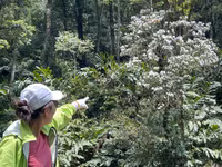 Hành trình chinh phục Nam Kang Ho Tao - một trong những cung leo núi khó nhất Việt Nam