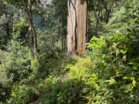 Hành trình chinh phục Nam Kang Ho Tao - một trong những cung leo núi khó nhất Việt Nam