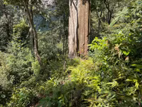 Hành trình chinh phục Nam Kang Ho Tao - một trong những cung leo núi khó nhất Việt Nam