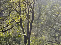 Hành trình chinh phục Nam Kang Ho Tao - một trong những cung leo núi khó nhất Việt Nam