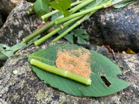 Hành trình chinh phục Nam Kang Ho Tao - một trong những cung leo núi khó nhất Việt Nam