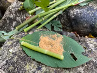 Hành trình chinh phục Nam Kang Ho Tao - một trong những cung leo núi khó nhất Việt Nam