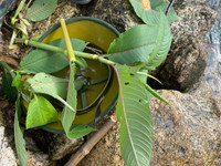 Hành trình chinh phục Nam Kang Ho Tao - một trong những cung leo núi khó nhất Việt Nam