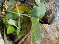 Hành trình chinh phục Nam Kang Ho Tao - một trong những cung leo núi khó nhất Việt Nam