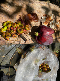 Hành trình chinh phục Nam Kang Ho Tao - một trong những cung leo núi khó nhất Việt Nam