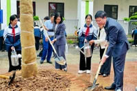 Tết trồng cây Xuân Bính Ngọ: Dự kiến trồng mới 15.000 cây xanh tại trường học