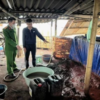 Tin Podcast ngày 29-1-2026: Hai xưởng phân kim đổ 6,7 tấn chất thải nguy hại gì ra sông Đuống