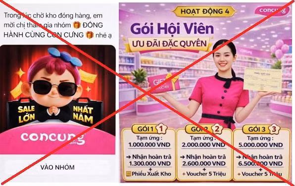 Người phụ nữ ở Hà Nội 'bay' gần 1 tỷ đồng khi bị lừa tham gia nhóm 'Đồng hành cùng Con Cưng' ảnh 1