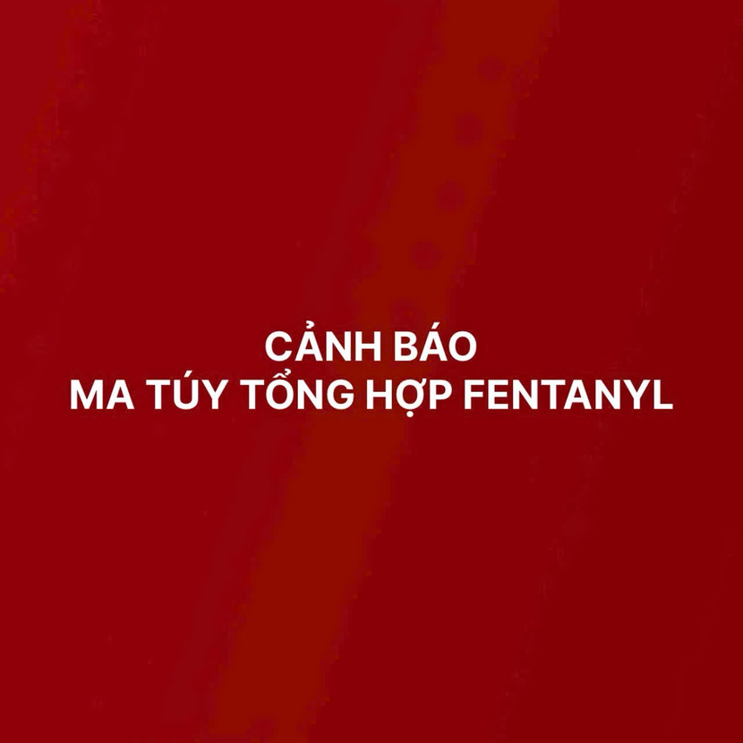 Ma túy tổng hợp Fentanyl gây tình trạng nghiện nặng và tử vong hàng loạt ảnh 1