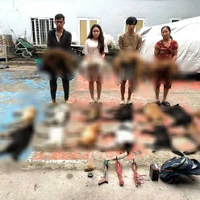 Tin Podcast ngày 27-10-2025: Bắt nhóm trộm chó dùng súng kích điện tự chế