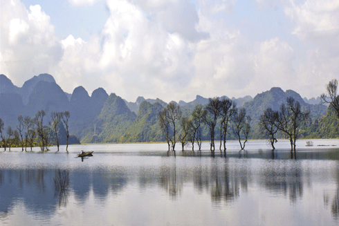 Lối mòn sáng tạo trong nhiếp ảnh đương đại ảnh 1
