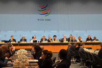 [ẢNH] WTO có cột mốc lịch sử với nữ tân tổng giám đốc da màu