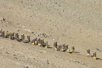 [ẢNH] Trung Quốc triệt thoái quân và xe tăng ra khỏi biên giới với Ấn Độ