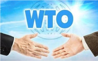 [ẢNH] WTO có cột mốc lịch sử với nữ tân tổng giám đốc da màu