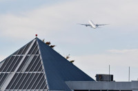 [ẢNH] Hậu trường chuyện Giám đốc tài chính Huawei Mạnh Vãn Chu được Canada trả tự do