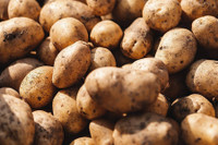 [ẢNH] Tuyệt chiêu giúp bóc vỏ củ quả chỉ trong nháy mắt